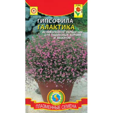 Семена Гипсофила Галактика, 0,005г, Плазменные семена