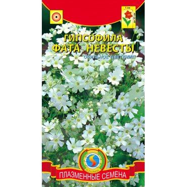 Семена Гипсофила Фата невесты , 0,05г, Плазменные семена
