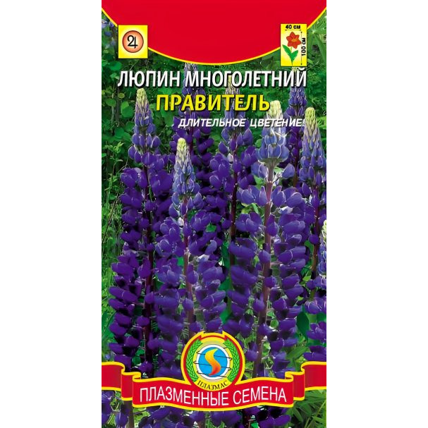 Семена Люпин многолетний Правитель 0,45г, Плазменные семена