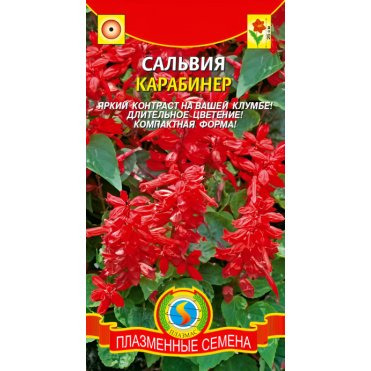 Семена Сальвия Карабинер 0,08, Плазменные семена