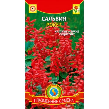 Семена Сальвия Рокет 0,08, Плазменные семена