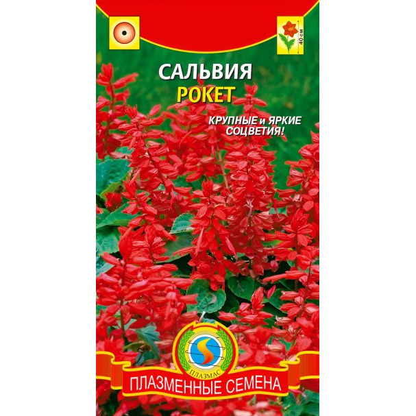Семена Сальвия Рокет 0,08, Плазменные семена