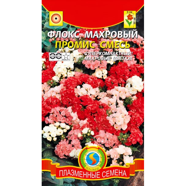 Семена Флокс махровый Промис Смесь, 9 шт, Плазменные семена купить в ...