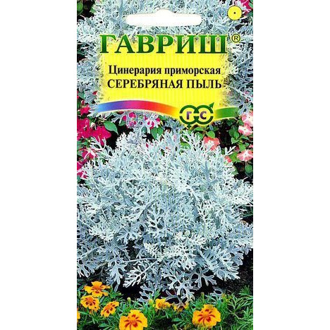 Семена Цинерария Серебряная пыль 0,1г купить в Москве по низкой цене ...
