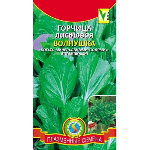 Семена  Горчица листовая Волнушка  1 гр Плазменные семена