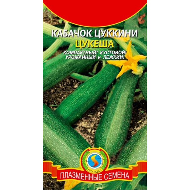 Семена  Кабачок цуккини Цукеша  10 шт Плазменные семена
