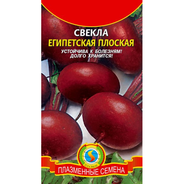 Семена  Свекла Египетская плоская  2,5 гр Плазменные семена