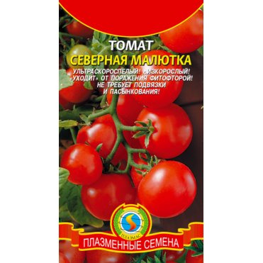 Семена  Томат Северная малютка  25 шт Плазменные семена