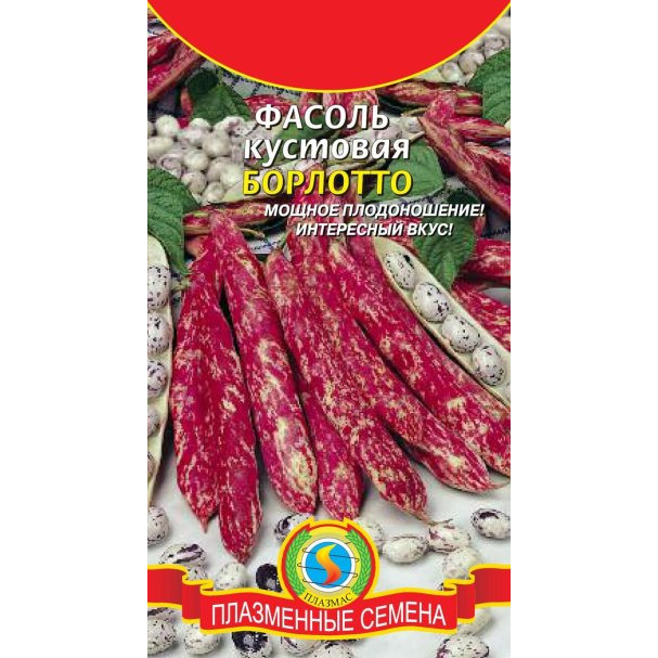 Семена  Фасоль кустовая Борлотто  5 гр Плазменные семена