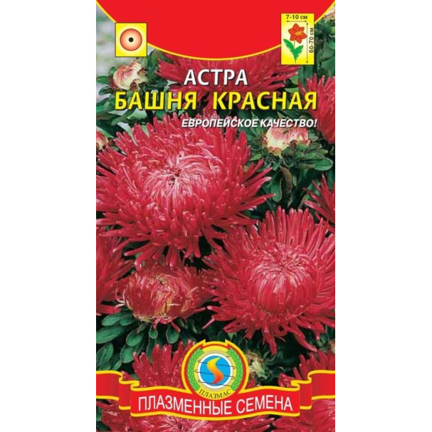 Семена  Астра Башня Красная  0,3 гр Плазменные семена