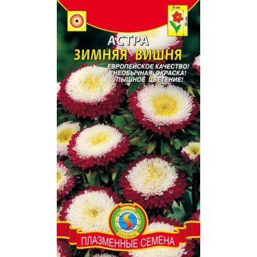 Семена  Астра Зимняя вишня 0,1 г Плазменные семена