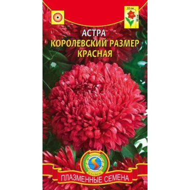 Семена  Астра Королевский размер, КРАСНАЯ  0,1 гр Плазменные семена