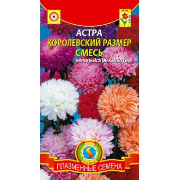 Семена  Астра Королевский размер, смесь  0,1 гр Плазменные семена