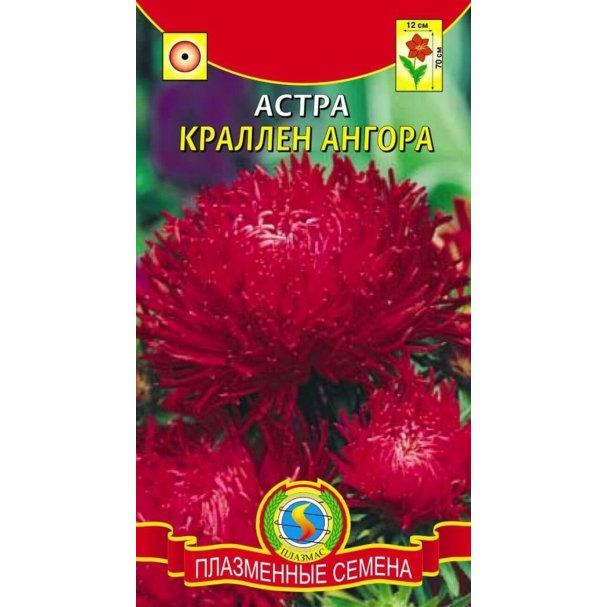 Семена  Астра краллен Ангора  0,3 гр Плазменные семена
