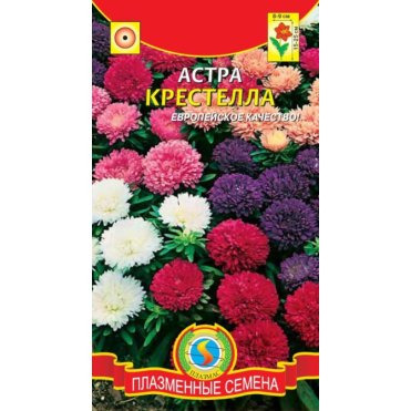Семена  Астра Крестелла  0,2 гр Плазменные семена