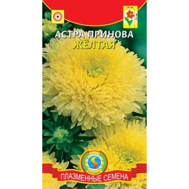 Семена  Астра Принова Желтая  0,3 гр Плазменные семена