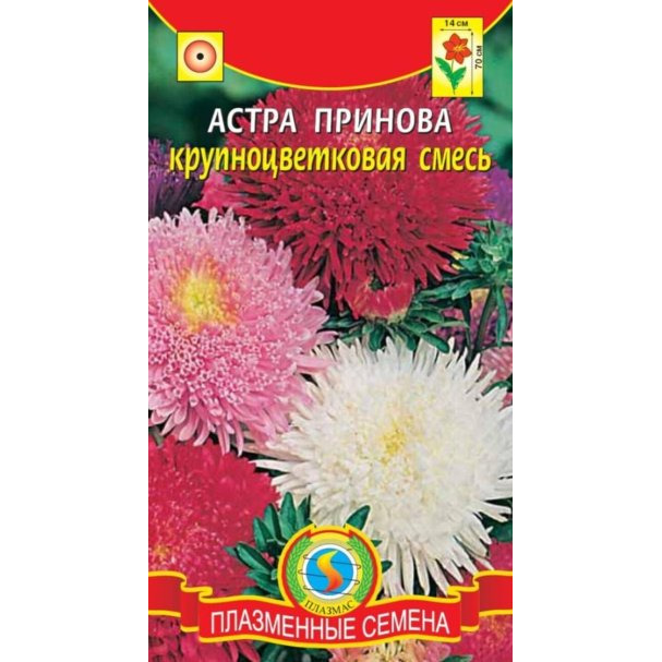 Семена  Астра Принова крупноцветковая смесь  0,2 гр Плазменные семена
