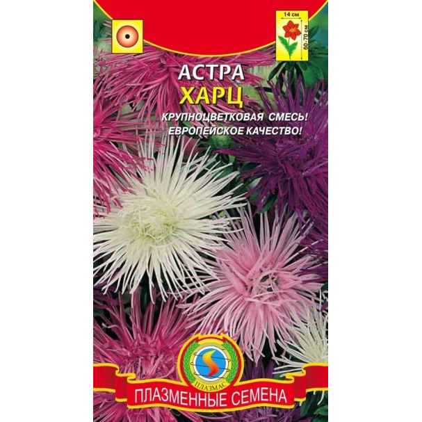 Семена  Астра Харц, смесь  0,3 гр Плазменные семена