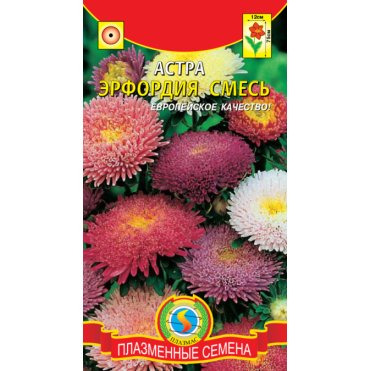 Семена  Астра Эрфордия, смесь  0,3 гр Плазменные семена