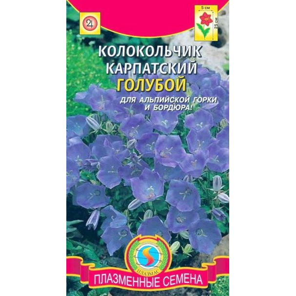 Семена  Колокольчик карпатский Голубой  600 шт Плазменные семена