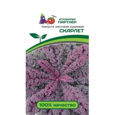 Семена Капуста листовая кудрявая Скарлет 0,3 гр. Партнер