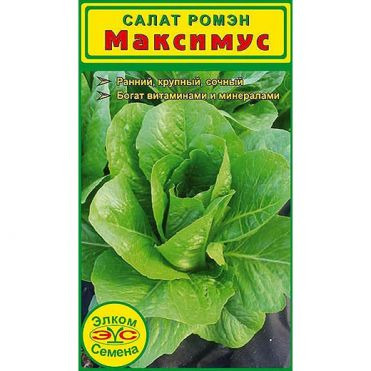 Семена Салат Максимус (20 сем.)
