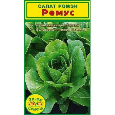 Семена Салат Ремус (10 држ.)