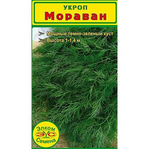 Семена Укроп Мораван (2 гр.)