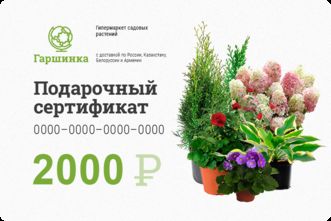 Подарочный сертификат интернет-магазина «Гаршинка.ру» номиналом 2000 рублей