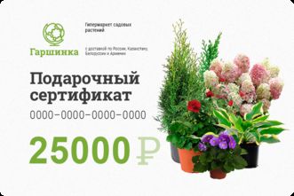 Подарочный сертификат интернет-магазина «Гаршинка.ру» номиналом 25000 рублей