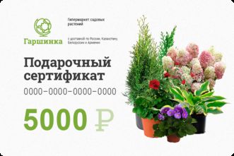 Подарочный сертификат интернет-магазина «Гаршинка.ру» номиналом 5000 рублей