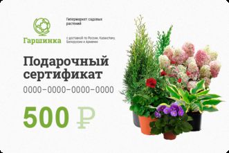 Подарочный сертификат интернет-магазина «Гаршинка.ру» номиналом 500 рублей