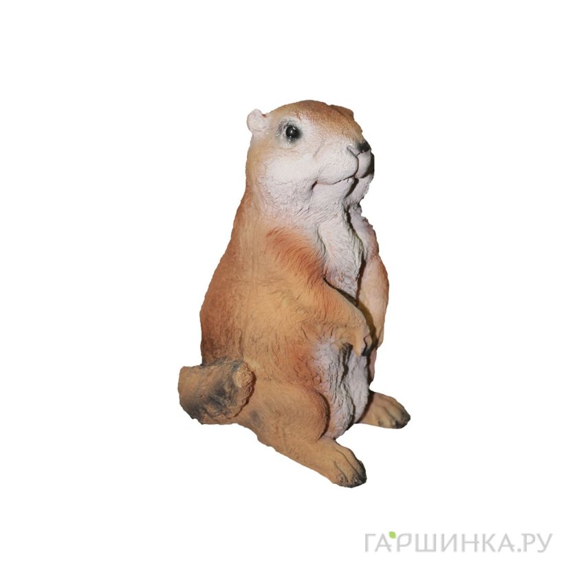 Сурикат средний  16*16*45