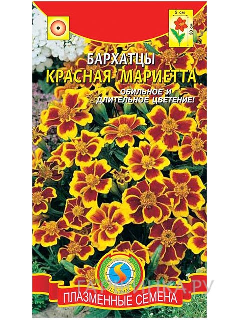 Семена Бархатцы Красная Мариетта