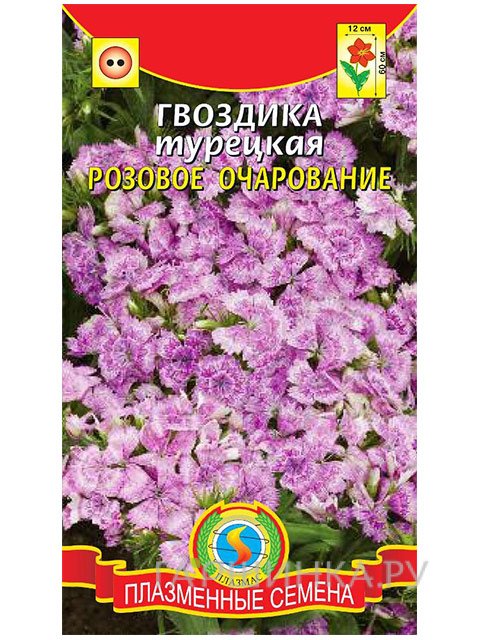 Семена Гвоздика турецкая Розовое очарование (Плазмас)