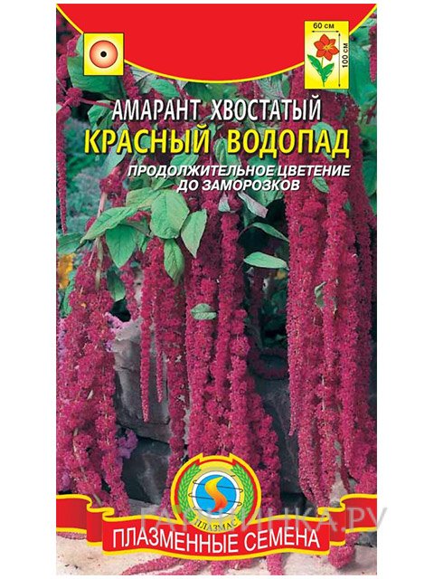 Семена Амарант Красный водопад (Плазмас)