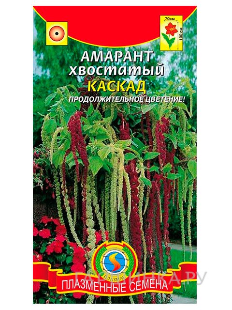 Семена Амарант Каскад хвостатый (Плазмас), 0,5г