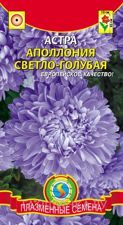 Семена Астра Аполлония светло-голубая, 0,2г