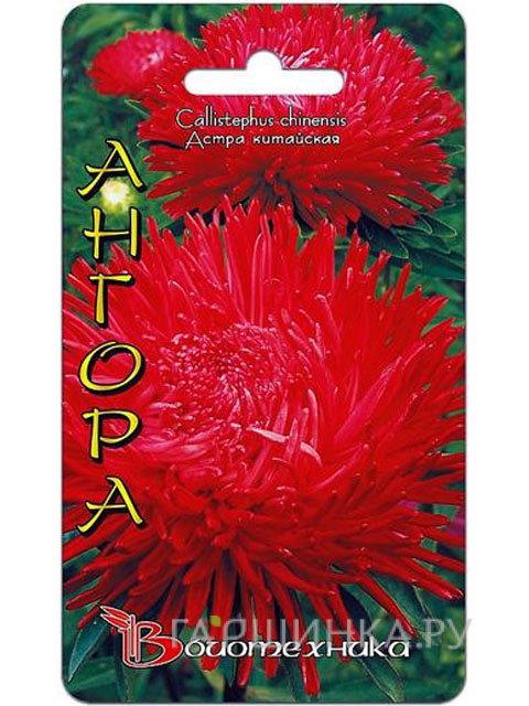 Семена Астра китайская Ангора (Биотехника)