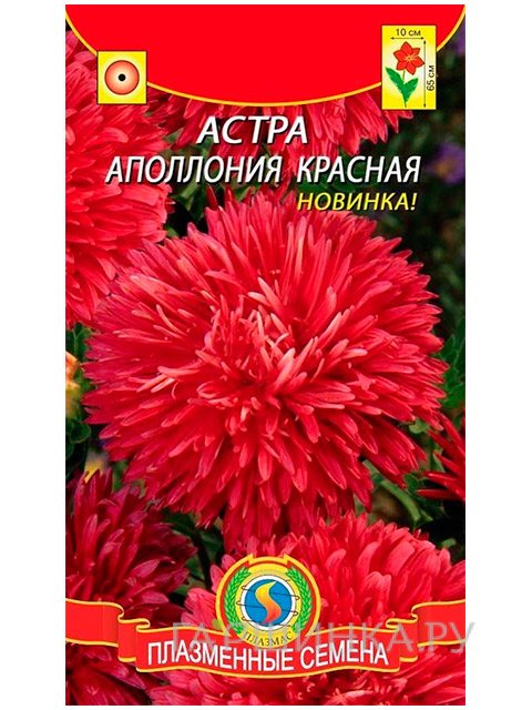 Семена Астра Аполлония красная  0,2г