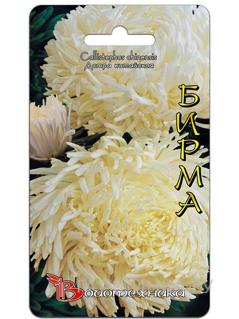 Семена Астра Бирма (Биотехника)