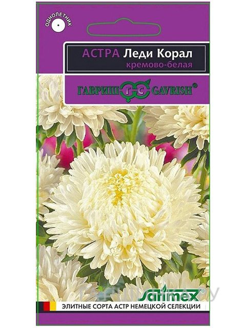 Семена Астра Леди Корал кремово-белая (Гавриш), 0,1г Эксклюзив