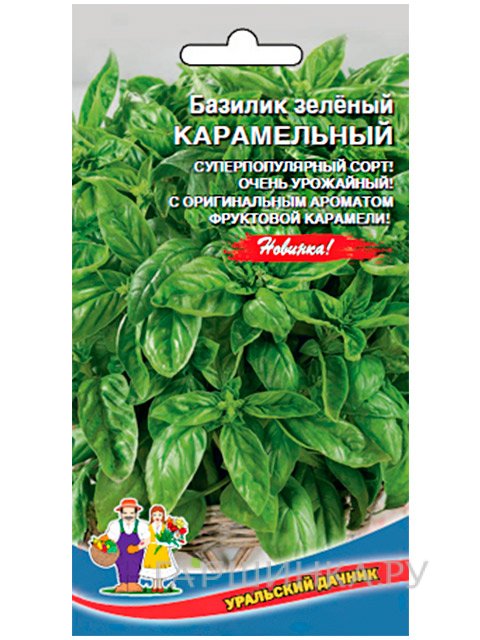 Семена Базилик Карамельный зеленый (Марс)