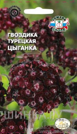 Семена Гвоздика турецкая Цыганка (Седек)