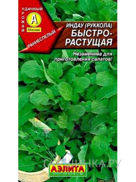 Семена Индау (руккола) быстрорастущая (Аэлита)