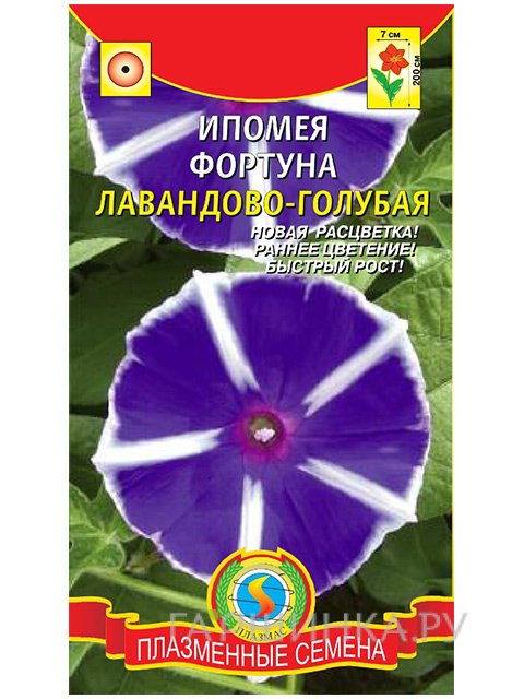Семена Ипомея Фортуна лавандово-голубая