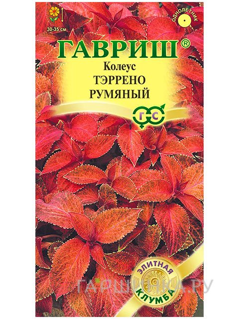 Семена Колеус Тэррено румяный (Гавриш), 5шт