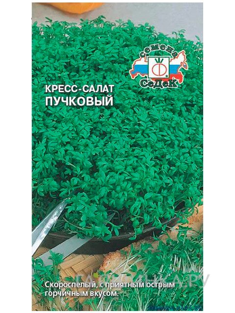 Семена Кресс-салат Пучковый (Седек), 1гр