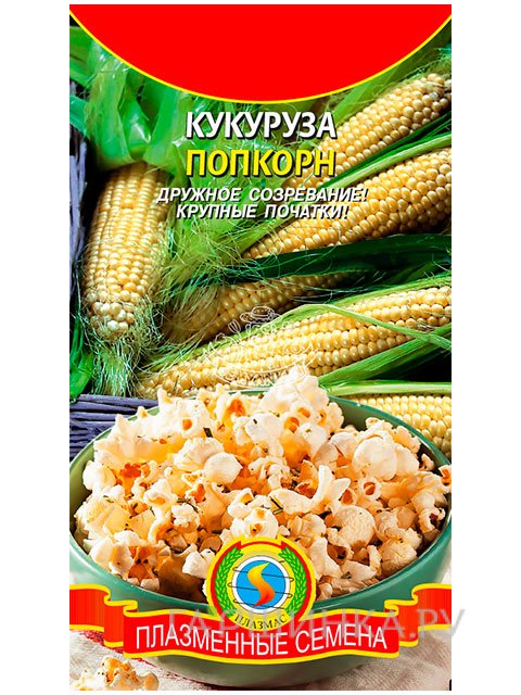Семена Кукуруза Попкорн (Плазмас), 5гр