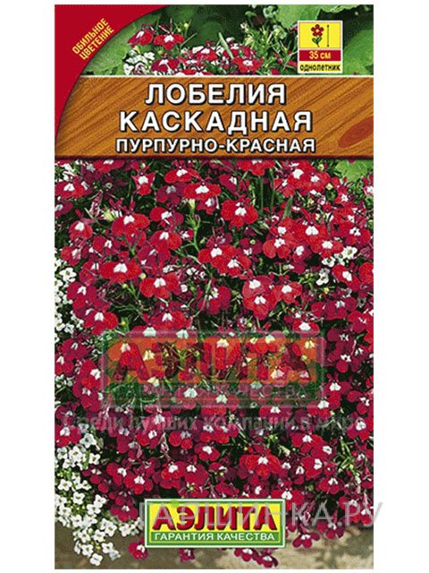 Семена Лобелия Пурпурно-красная каскадная (Аэлита)